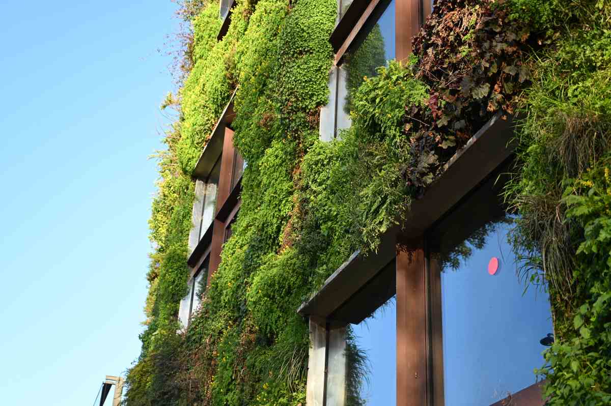 Diseño regenerativo